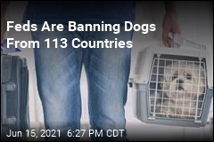 Feds Are Banning Dogs From 113 Countries