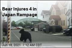 Bear Injures 4 in Japan Rampage