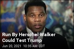 Herschel Walker Hints at Running in Georgia