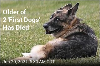 Bidens&#39; Older Dog Has Died