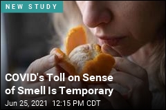 COVID&#39;s Toll on Sense of Smell Is Temporary
