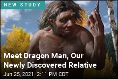 Meet Dragon Man, Our Newly Discovered Relative
