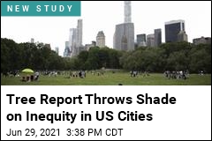 Tree Report Throws Shade on Inequity in US Cities
