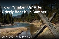 Grizzly Bear Kills Camper in Western Montana