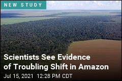 Scientists See Evidence of Troubling Shift in Amazon