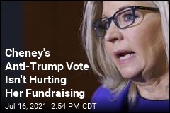 Liz Cheney&#39;s Anti-Trump Vote Isn&#39;t Hurting Her Fundraising