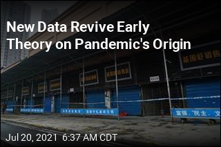 New Data Revive Early Theory on Pandemic Origin