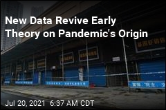 New Data Revive Early Theory on Pandemic Origin