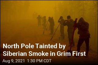 Siberian Wildfire Smoke Stretches to North Pole