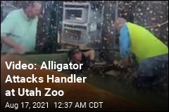 Video: Utah Zoo Visitors Save Handler From Alligator