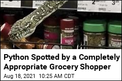 Snake Surprises Completely Appropriate Grocery Shopper