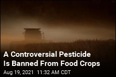 A Controversial Pesticide Is Banned From Food Crops