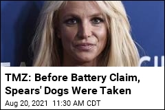 TMZ: Before Battery Claim, Spears&#39; Dogs Were Taken