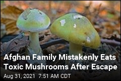 Afghan Family Made It Out, Then Ate Toxic Mushrooms