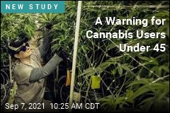 A Warning for Cannabis Users Under 45