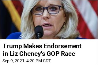 Cheney Answers Trump&#39;s Primary Opposition: &#39;Bring it&#39;