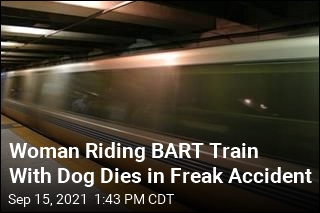Mishap Involving Dog&#39;s Leash Kills BART Train Rider
