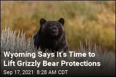 Wyoming Wants to Lift Federal Grizzly Bear Protections