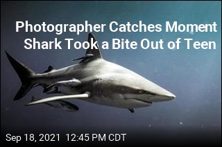 Photographer Catches Moment Shark Took a Bite Out of Teen