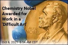 Chemistry Nobel Awarded for Work in a &#39;Difficult Art&#39;