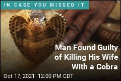 On 2nd Try, He Killed Wife With a Snake
