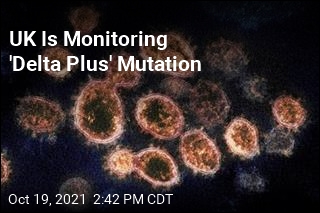 UK Is Monitoring &#39;Delta Plus&#39; Mutation