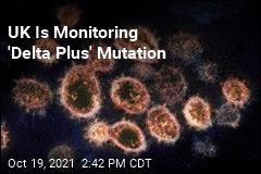 UK Is Monitoring &#39;Delta Plus&#39; Mutation