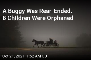 A Buggy Was Rear-Ended. 8 Children Were Orphaned