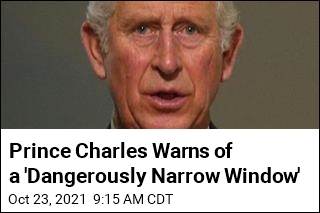 Prince Charles Warns of a &#39;Dangerously Narrow Window&#39;