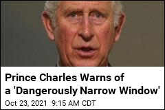 Prince Charles Warns of a &#39;Dangerously Narrow Window&#39;