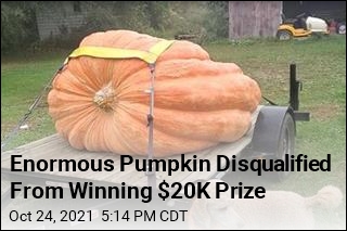 Tiny Flaw Took Title From This Enormous Pumpkin