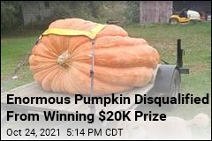 Tiny Flaw Took Title From This Enormous Pumpkin