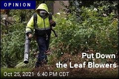 Leaf Blowers Are Multipronged Threat to Health and Environment