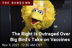 Ted Cruz Slams Big Bird&#39;s Vaccine &#39;Propaganda&#39;