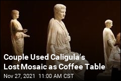 Couple Used Caligula&#39;s Lost Mosaic as Coffee Table