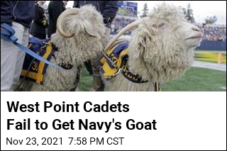 West Point Pranksters Stole the Wrong Goat