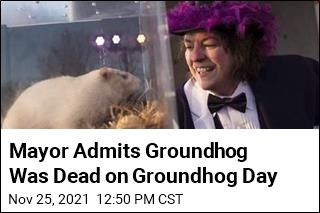 Mayor Admits Groundhog Was Dead on Groundhog Day