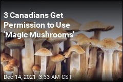 3 Canadians Get Permission to Use &#39;Magic Mushrooms&#39;