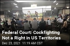 Federal Court: Cockfighting Not a Right in US Territories