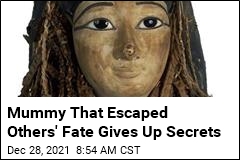 Mummy That Escaped Others&#39; Fate Gives Up Secrets