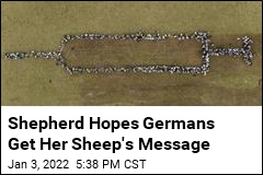 Shepherd Hopes Germans Get Her Sheep&#39;s Message