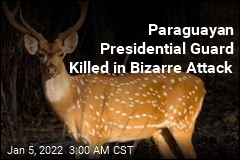 Paraguayan Presidential Guard Killed by Deer