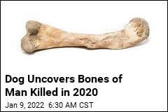 Dog Uncovers Bones of Man Killed in 2020