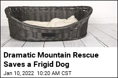 Frigid Mountain Rescue Saves a Missing Dog