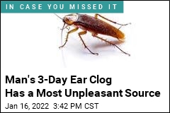 He Thought He Had Water In His Ear. It Was a Roach