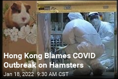 Hong Kong Blames COVID Outbreak on Hamsters