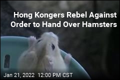 Hong Kongers Rebel Against Order to Hand Over Hamsters