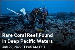 Rare Coral Reef Found in Deep Pacific Waters