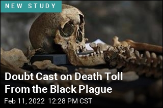 Doubt Cast on Death Toll From the Black Plague