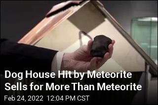 Dog House Hit by Meteorite Sells for More Than Meteorite